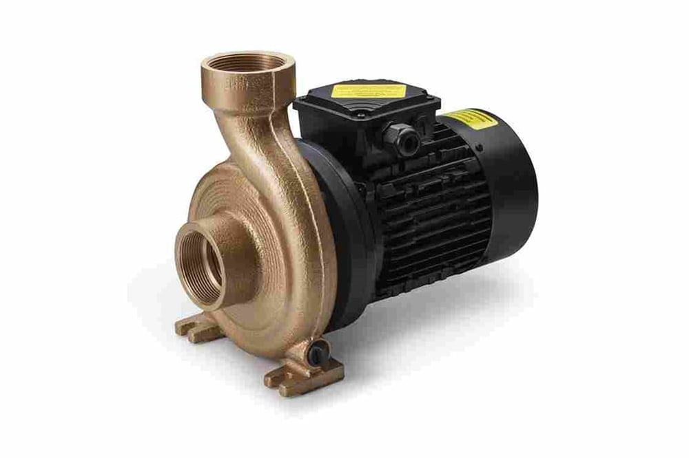 FloVISE Bronz Spa-Masaj Pompa Önfiltresiz