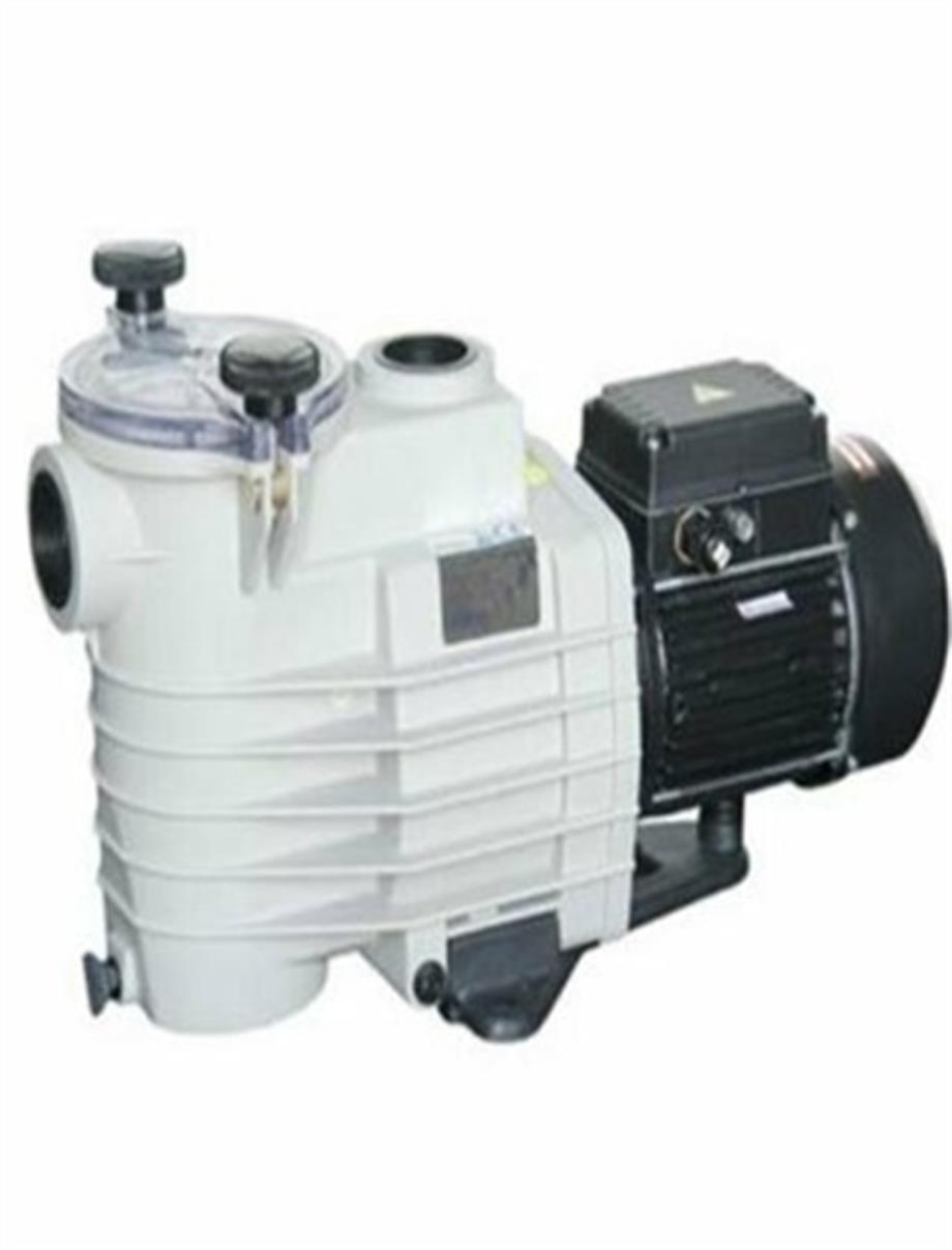 Kripsol Ondina Havuz Pompası