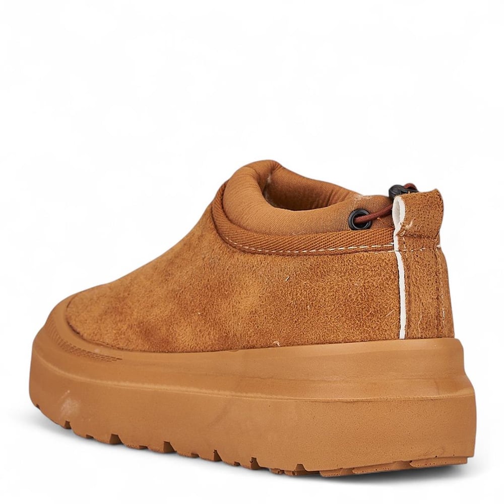 TWİNGERS_Z_BOT 2413 TABA