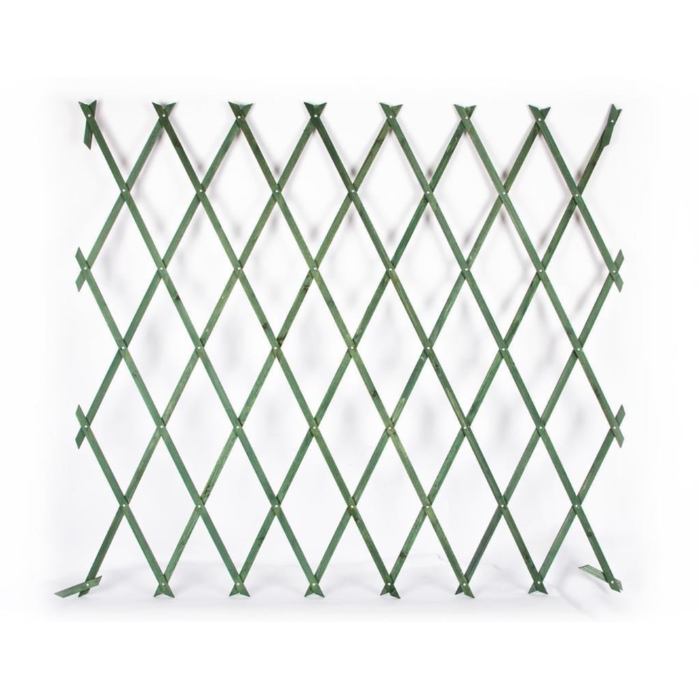 Çıtçıtlı Çam Ağacı Çit 135X100 Cm Yeşil