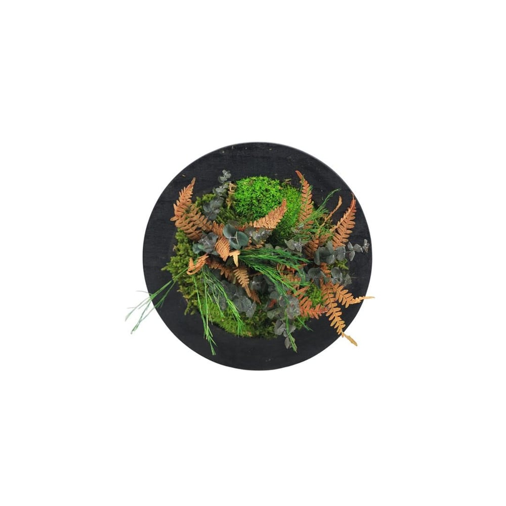 Duvar Bahçe Aranjman  - Yaşayan Duvar Bitkileri