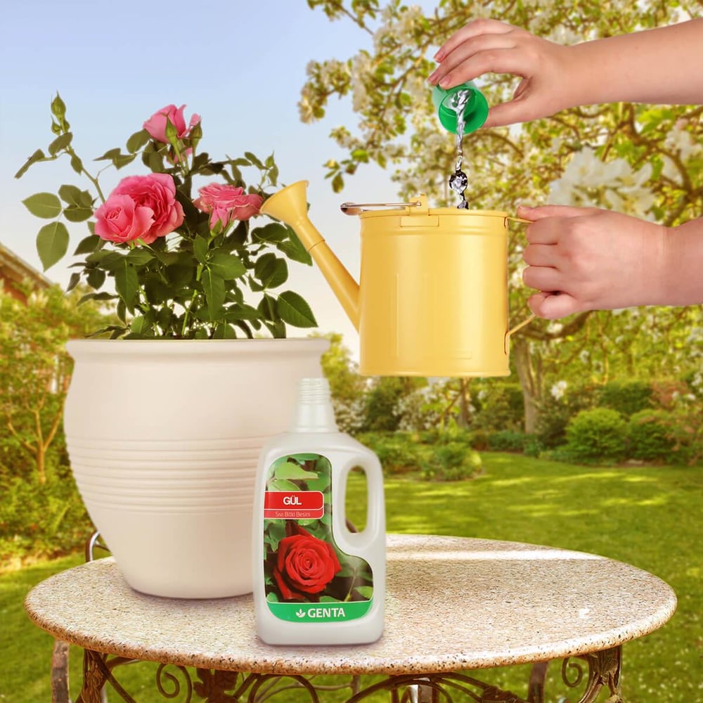 Genta Güller İçin Sıvı Besin 500 Ml