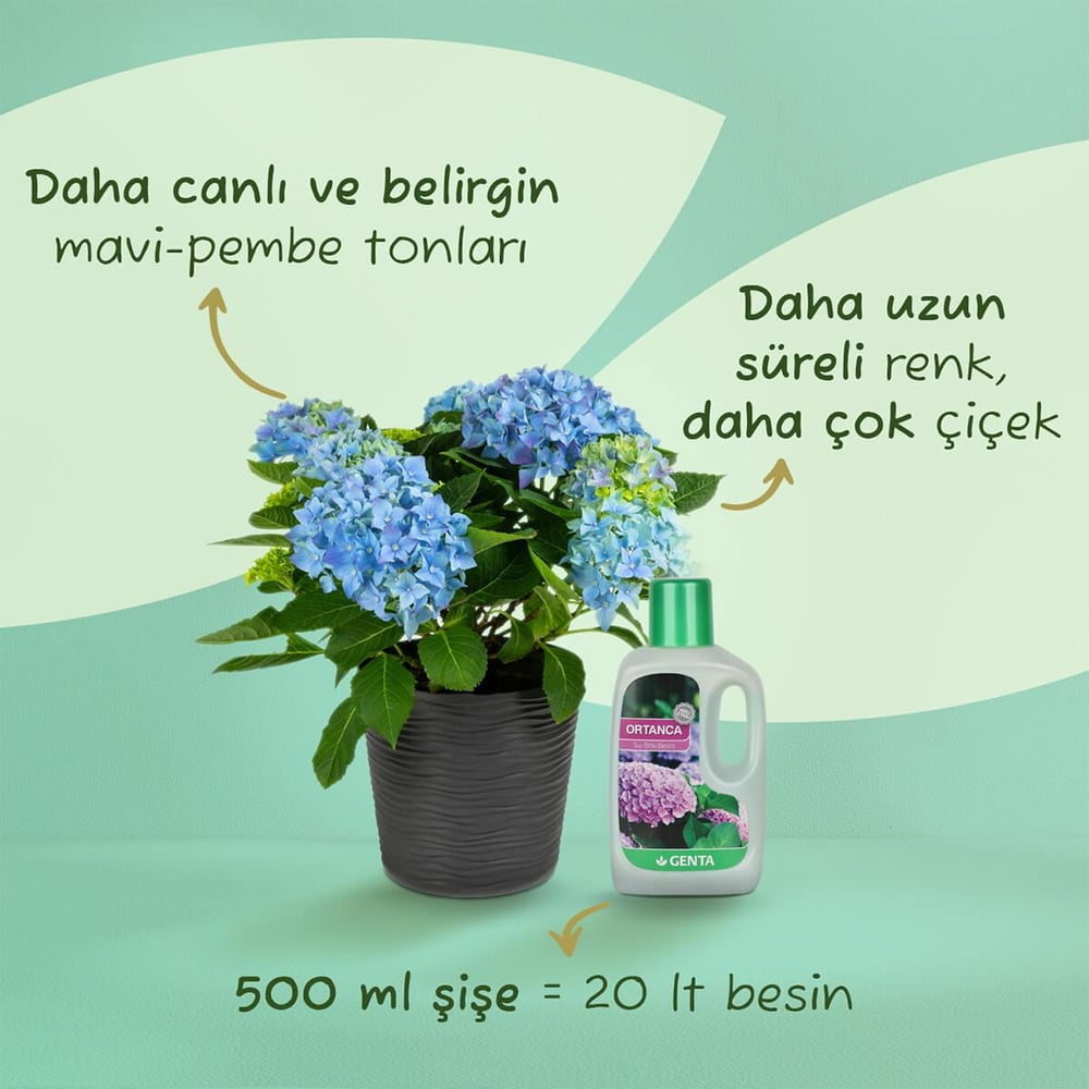 Genta Ortanca ve Açelyalar İçin Sıvı Bitki Besini 500 Ml