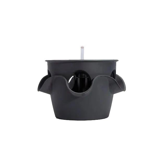 Lechuza Akıllı Saksı