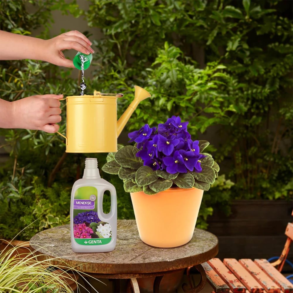 Menekşeler için Sıvı Besin