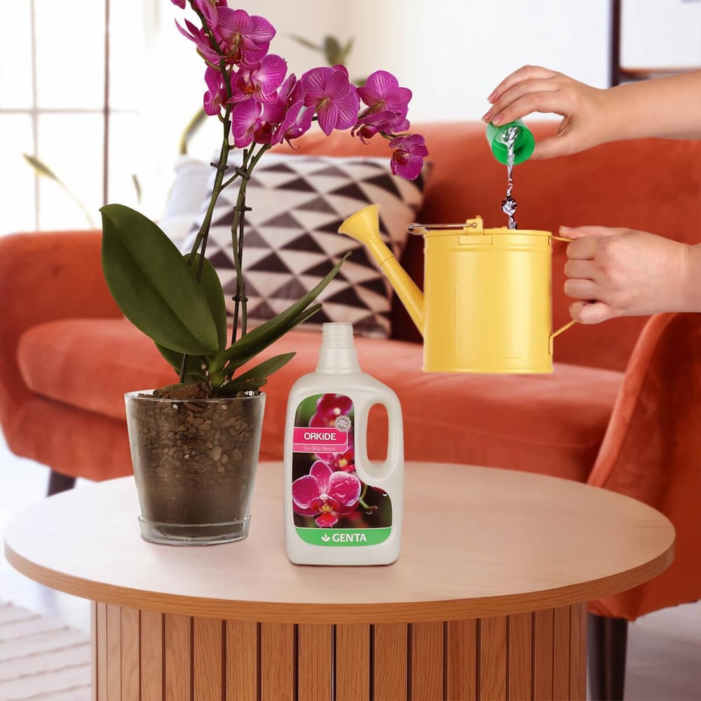 Orkideler için Sıvı Besin