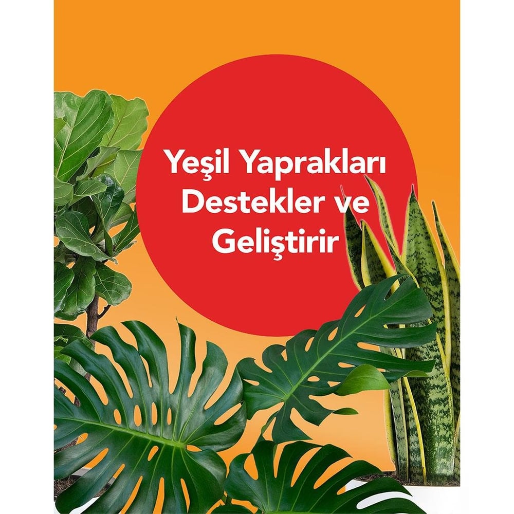 PetroTurk Tropikal Sıvı Bitki Besini 250 Ml