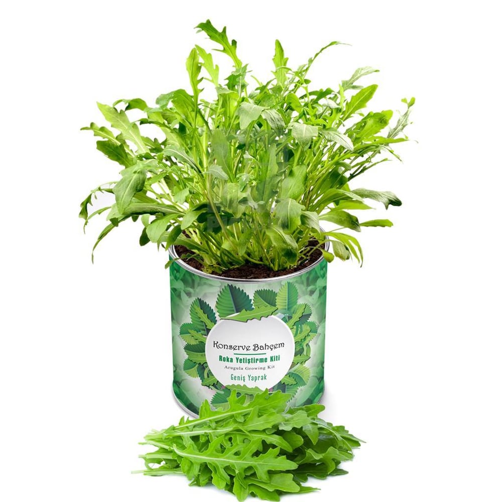 Konserve Bahçem Roka Fide Yetiştirme Kiti