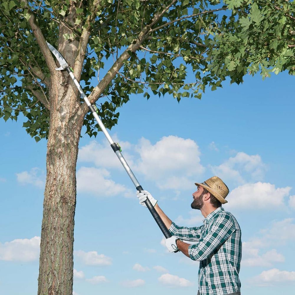 Teleskopik Çubuklar İçin Budama Testeresi