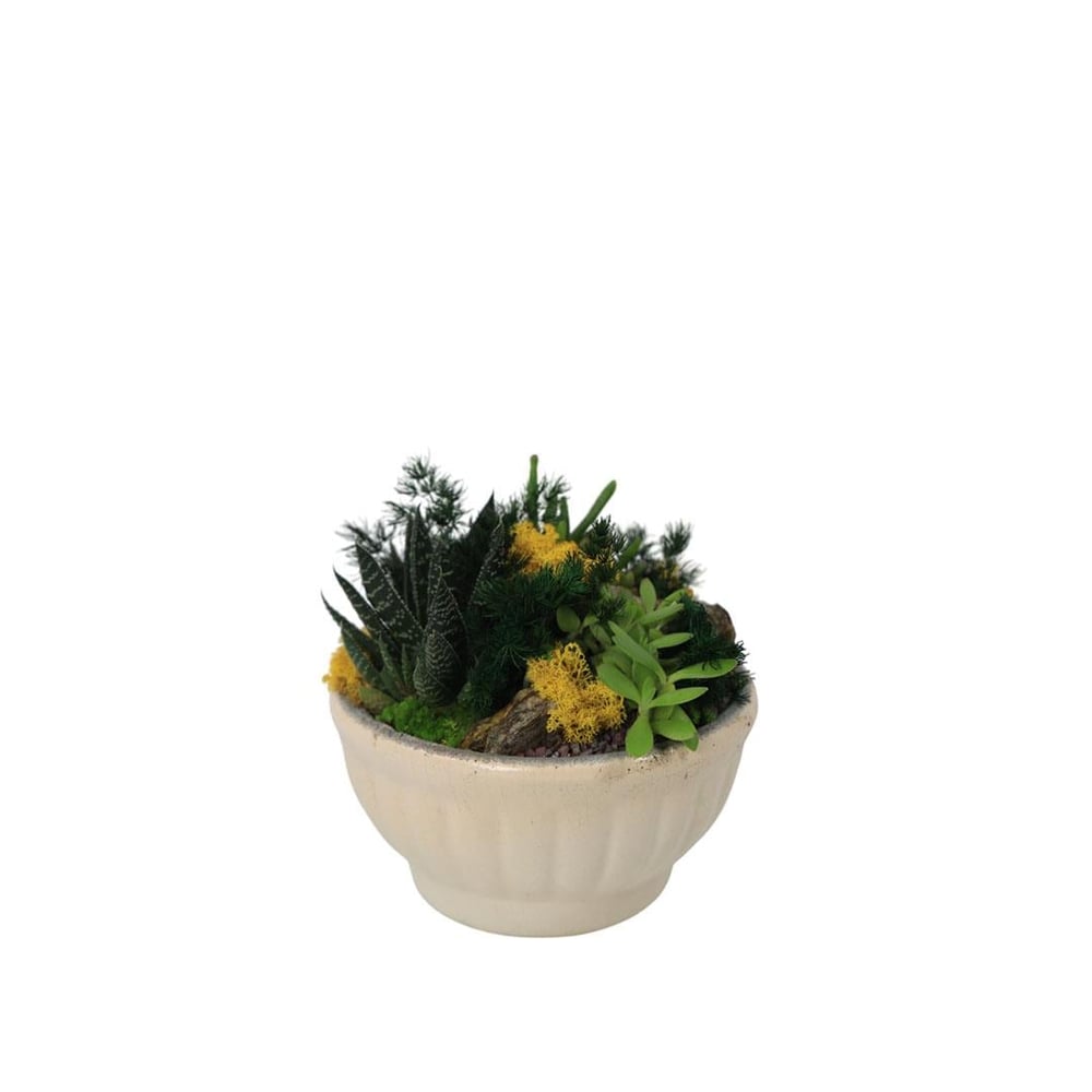 Terrarium (Teraryum) Aranjman