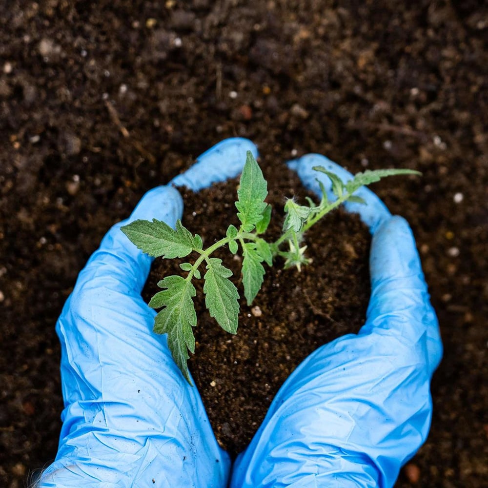 Toprak Düzenleyici Laboratuvar Analiz Paketi 14