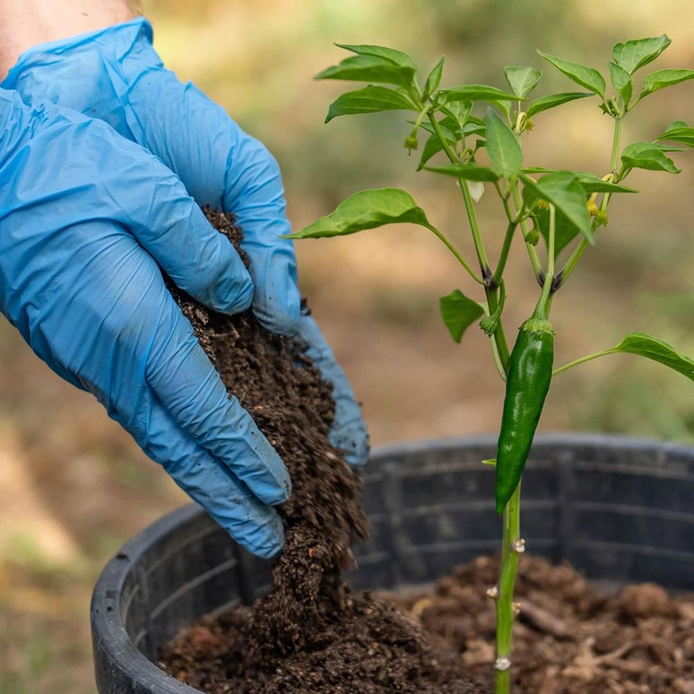 Toprak Düzenleyici Laboratuvar Analiz Paketi 11