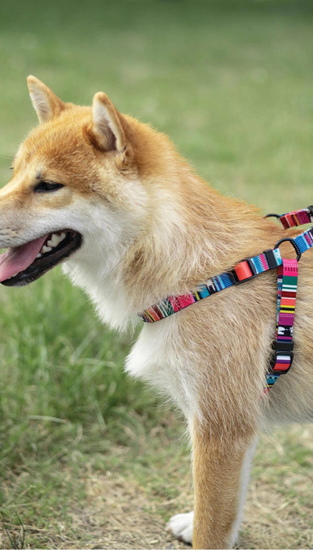 M-Pets Urban Style Köpek Göğüs Tasması 60cm [S]