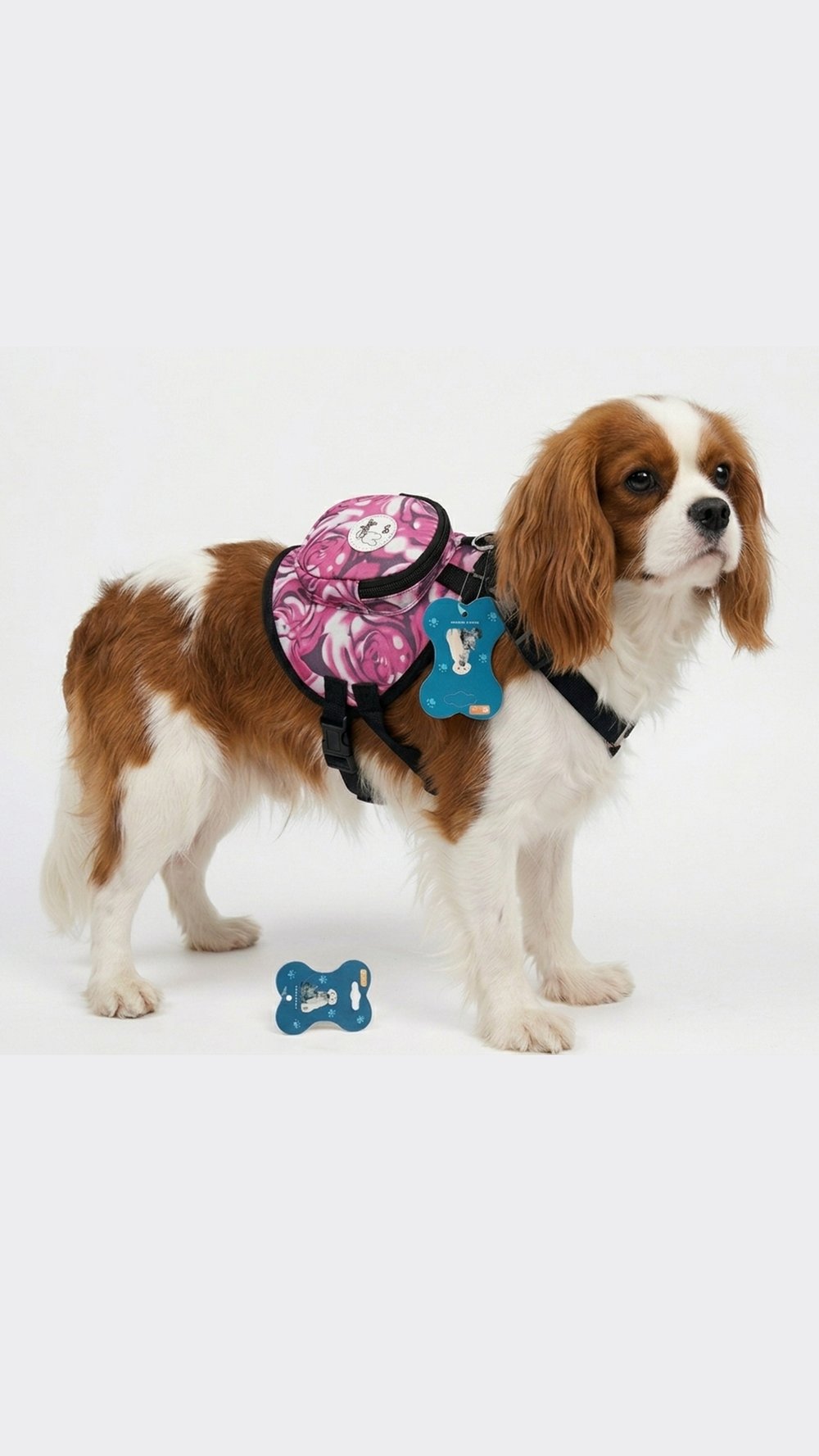 Köpekler İçin Cüzdanlı Bel Tasma S