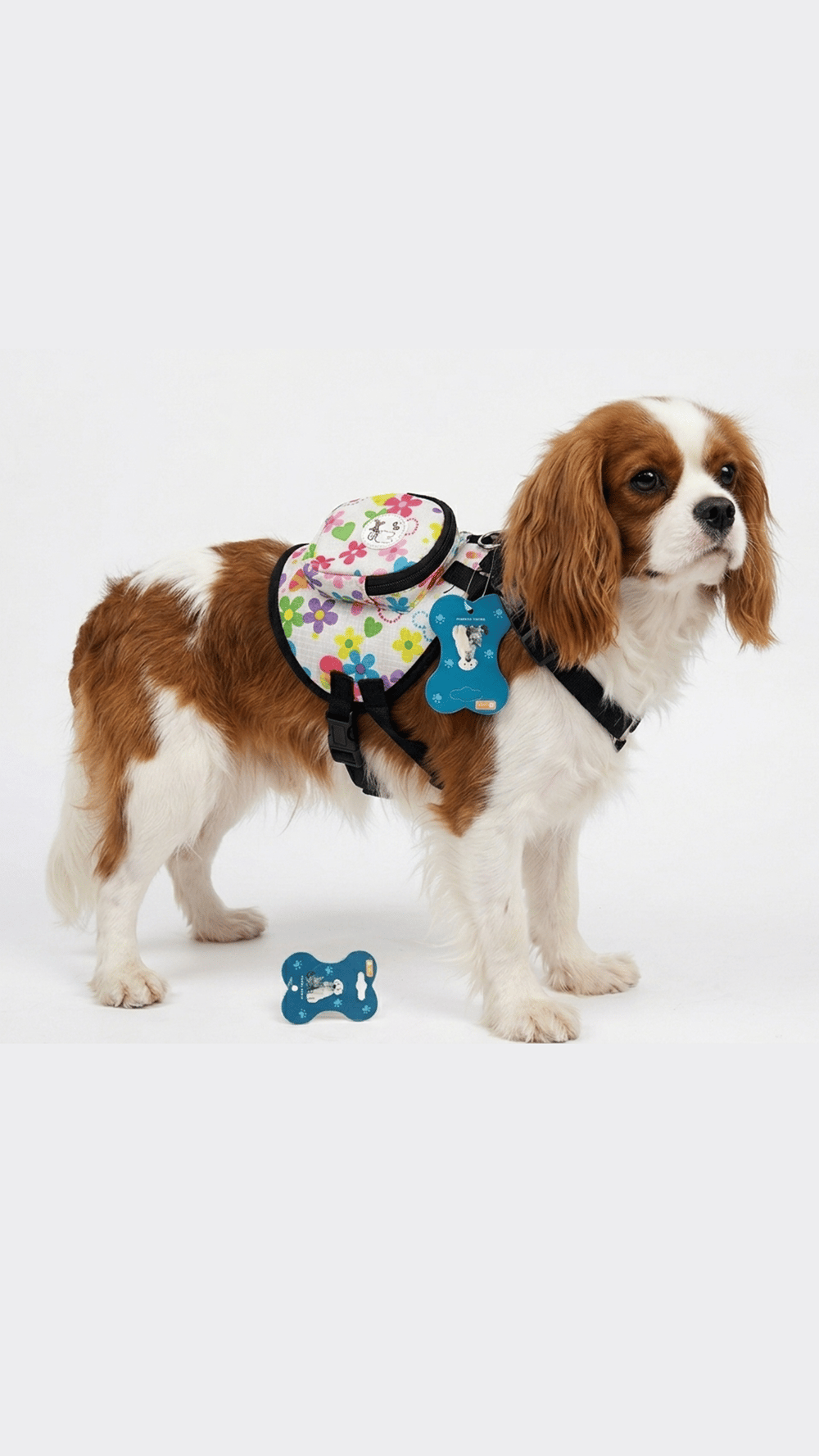 Köpekler İçin Cüzdanlı Bel Tasma S