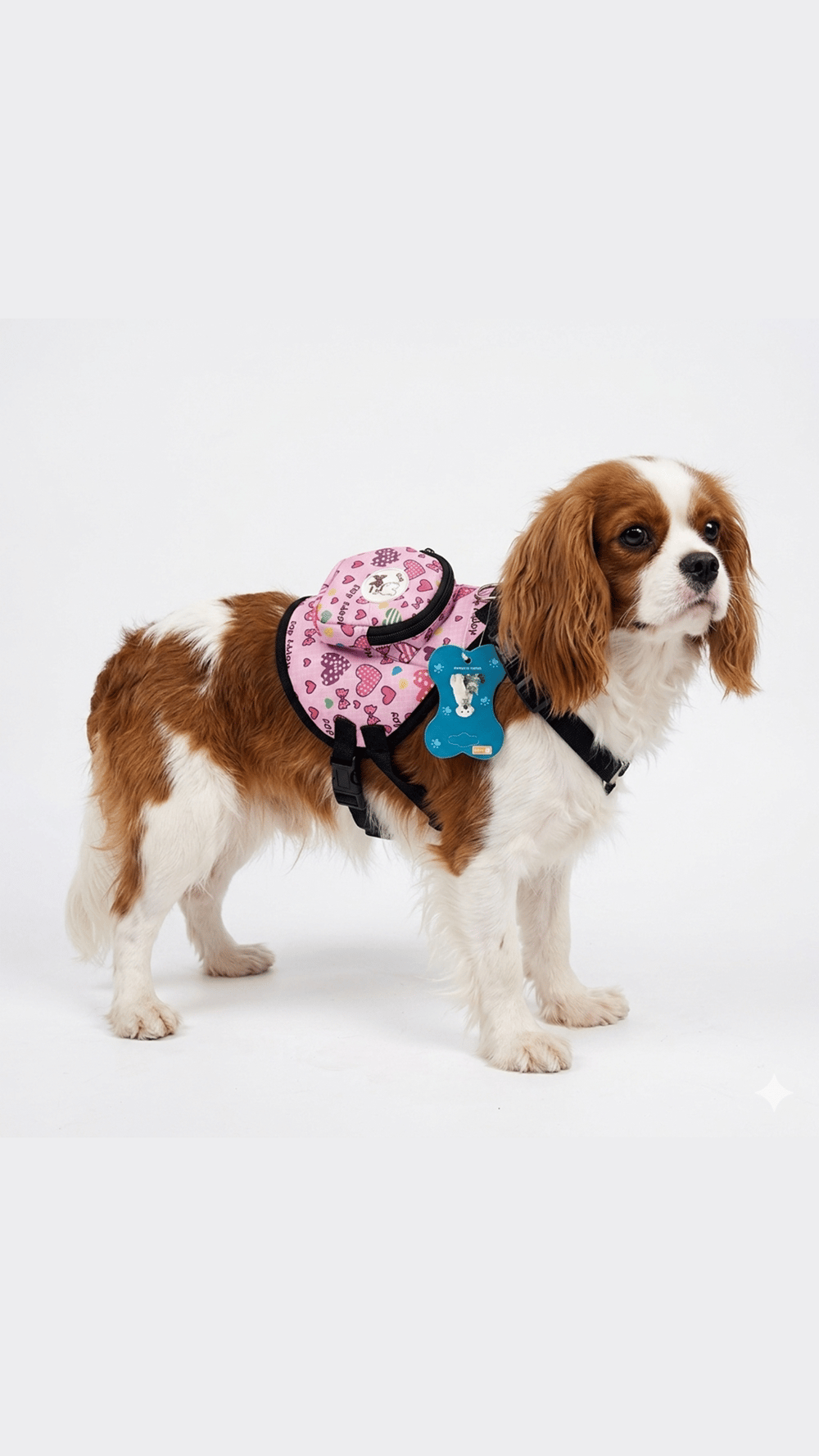 Köpekler İçin Cüzdanlı Bel Tasma S
