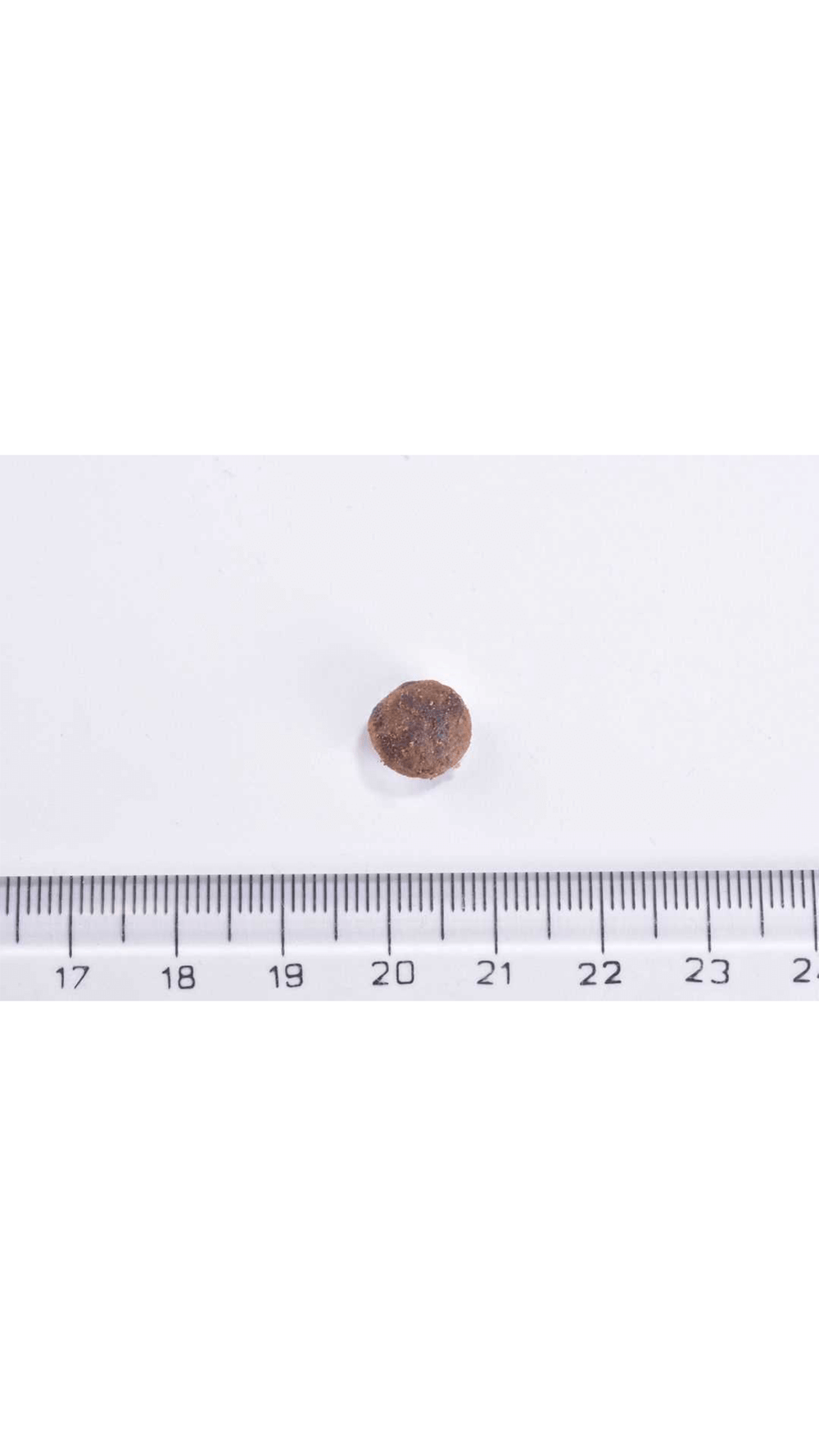 Brit Care Sensitive Hypo-Allergenic Larva Proteinli Tahılsız Yetişkin Kedi Maması 2kg