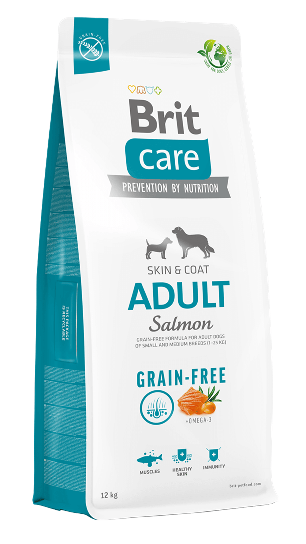 Brit Care Skin & Coat Tüm Irklar için Somonlu Tahılsız Yetişkin Köpek Maması 12kg