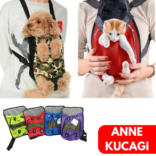 Chakie Kedi ve Köpek Ana Kucağı