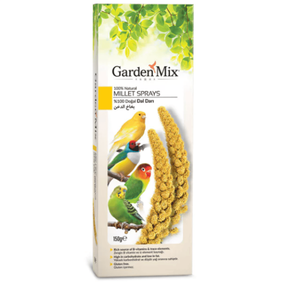 Garden Mix Platin Sarı Doğal Dal Darı 150gr