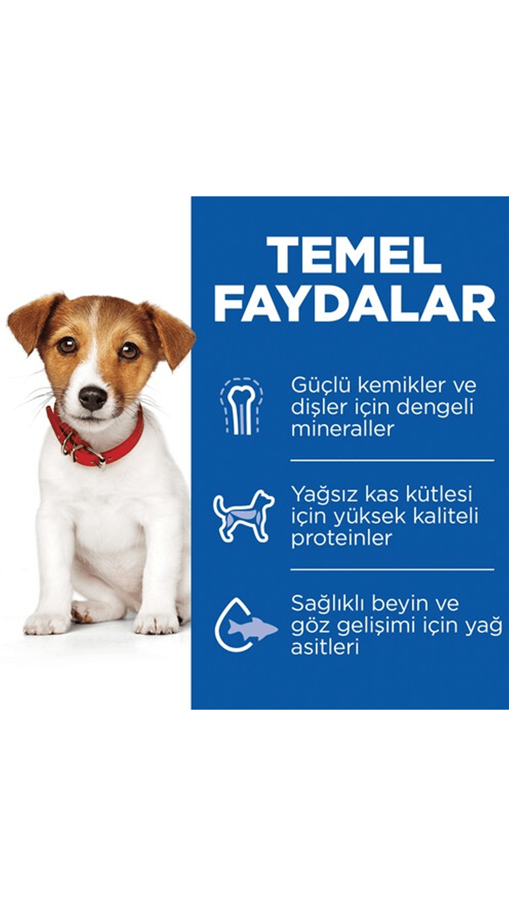 Hills SCIENCE PLAN Healthy Development Kuzulu Küçük Irk Yavru Köpek Maması 6kg
