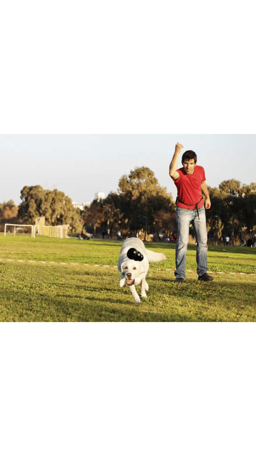 Kong Extreme Köpekler için Çok Amaçlı Isırma Oyuncağı M
