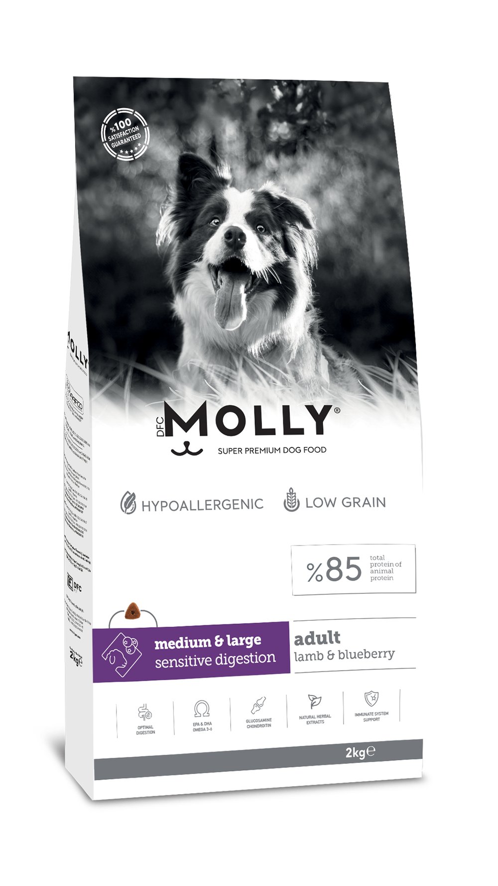 Molly Büyük Irk Hipoalerjenik Kuzu Etli ve Yaban Mersinli Düşük Tahıllı Yetişkin Köpek Maması 2kg