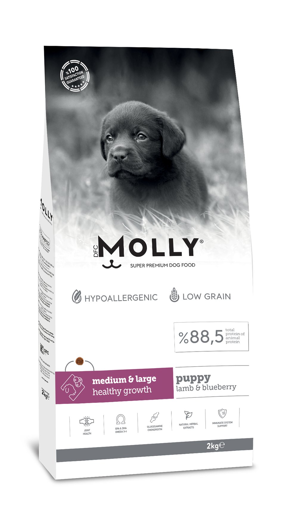Molly Hipoalerjenik Kuzu Etli ve Yaban Mersinli Büyük Irk Düşük Tahıllı Yavru Köpek Maması 2kg
