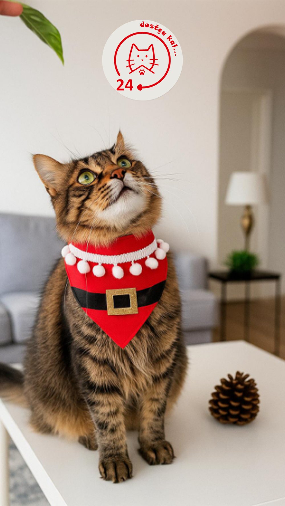 Kedi ve Köpek Noel Fular Tasma Yılbaşı Fular Tasma