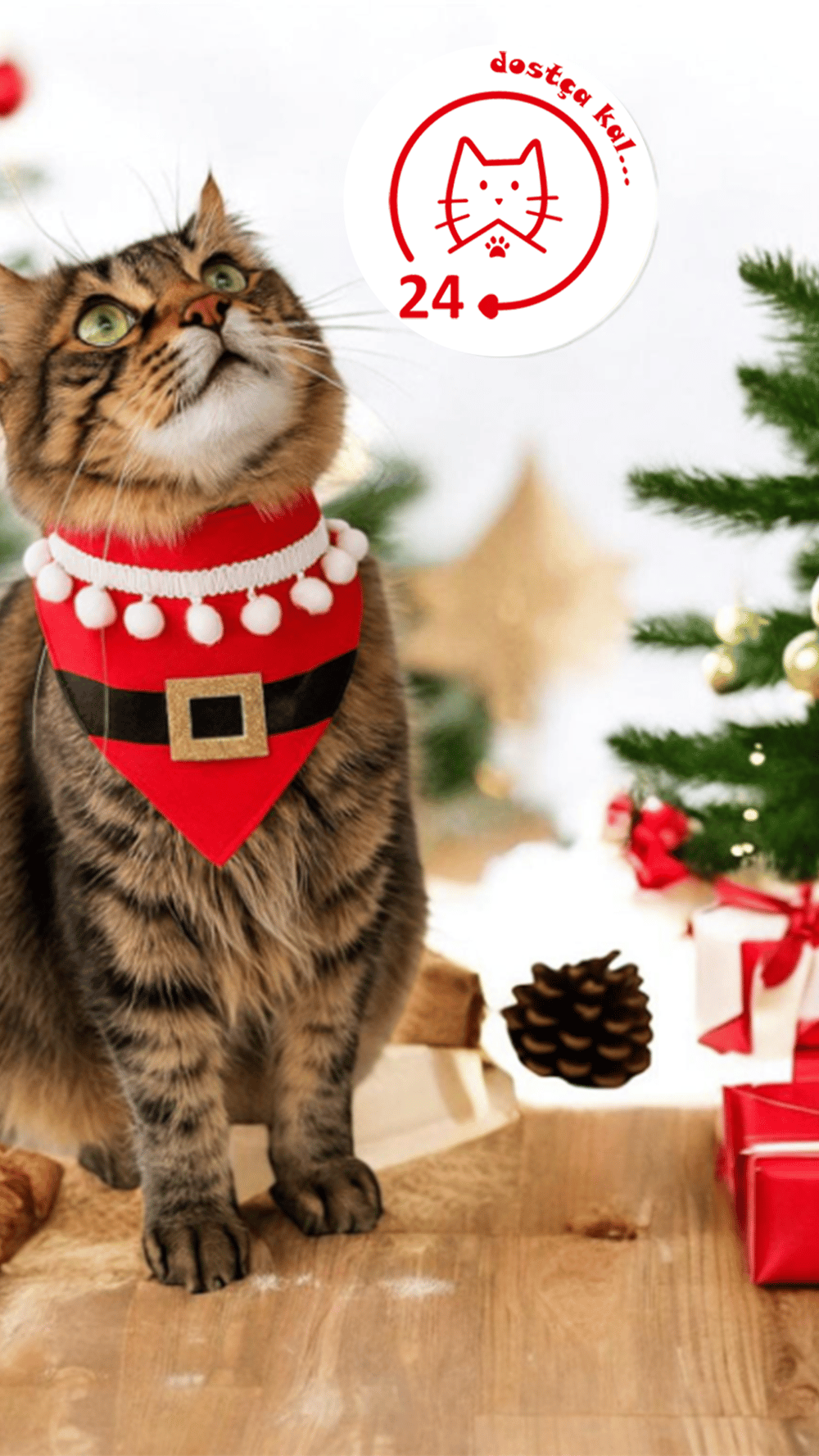 Kedi ve Köpek Noel Fular Tasma Yılbaşı Fular Tasma