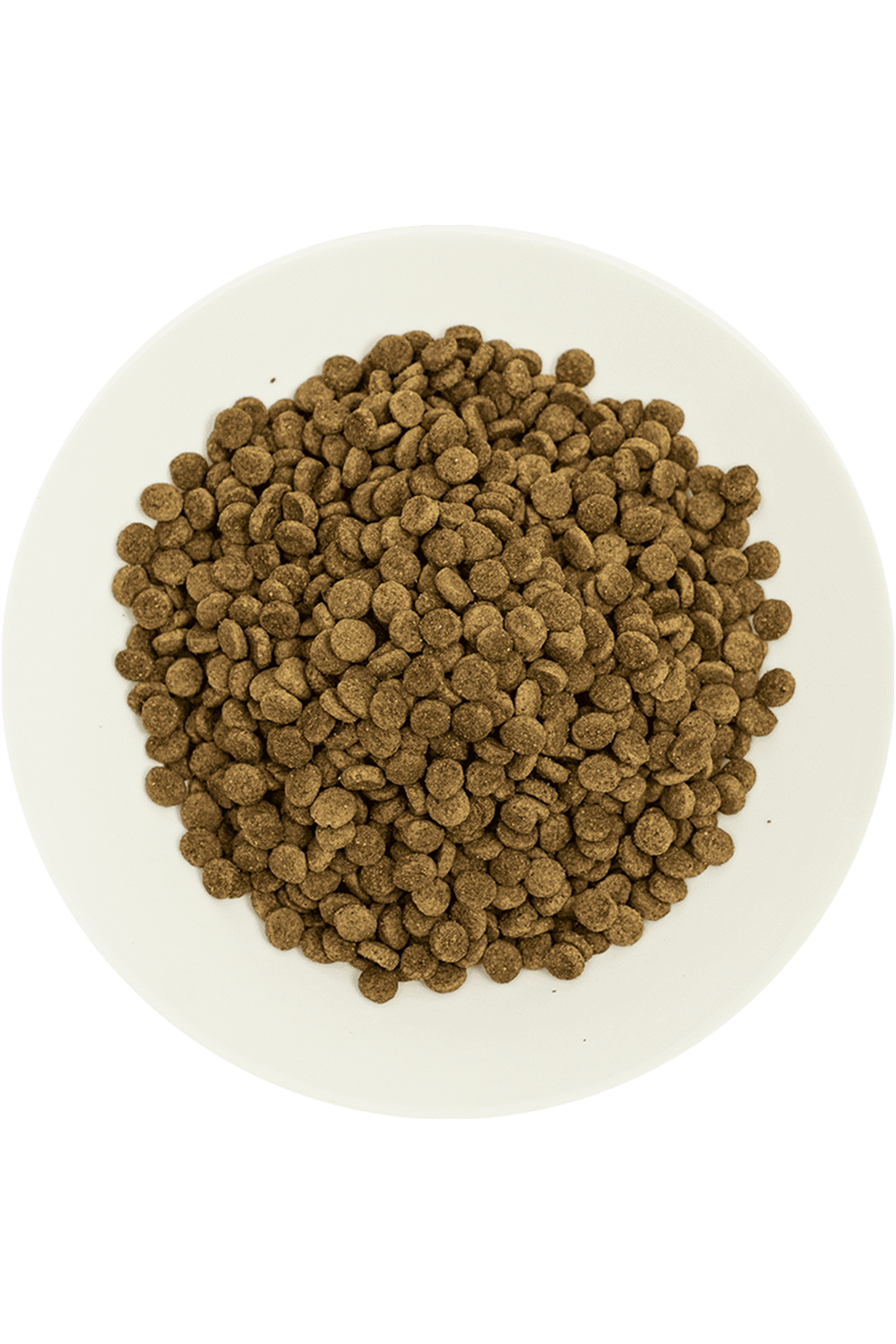 ProChoice Pro 33 HypoAllergenic Somonlu ve Karidesli Düşük Tahıllı Kısırlaştırılmış Kedi Maması 15 kg