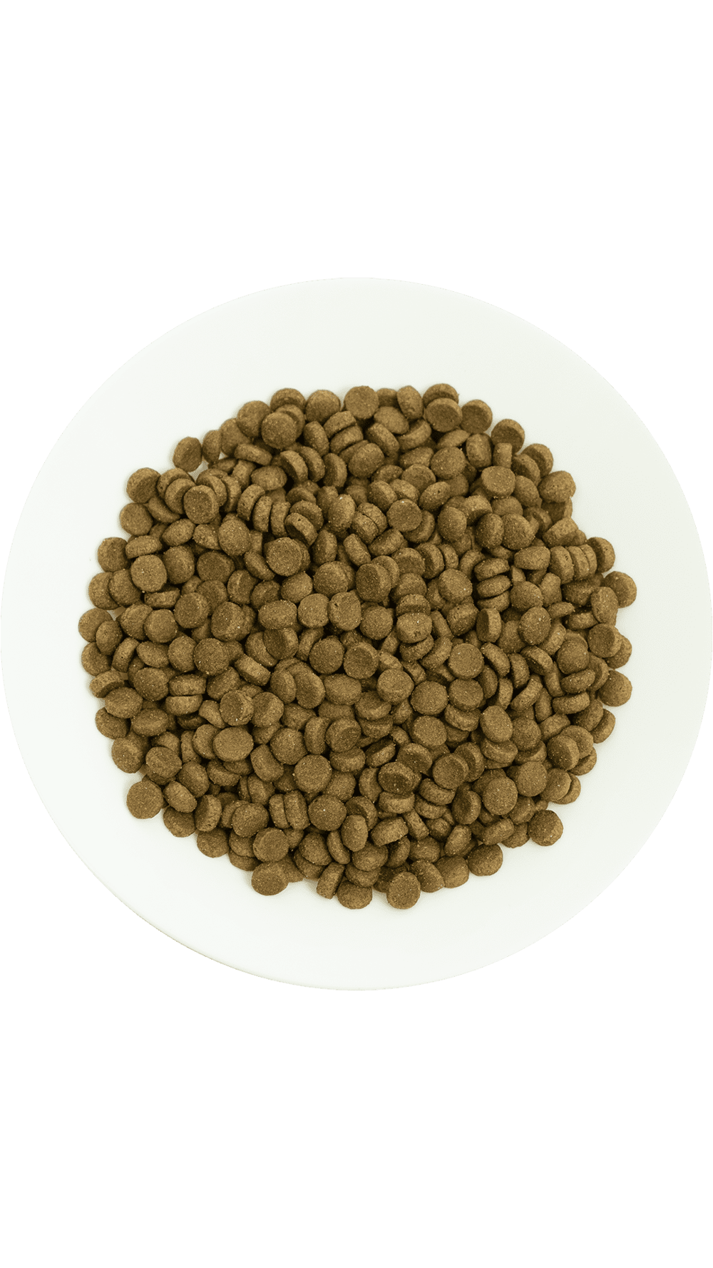 Prochoice Pro 36 Kuzu Etli Pirinçli Yetişkin Kedi Maması 2 Kg