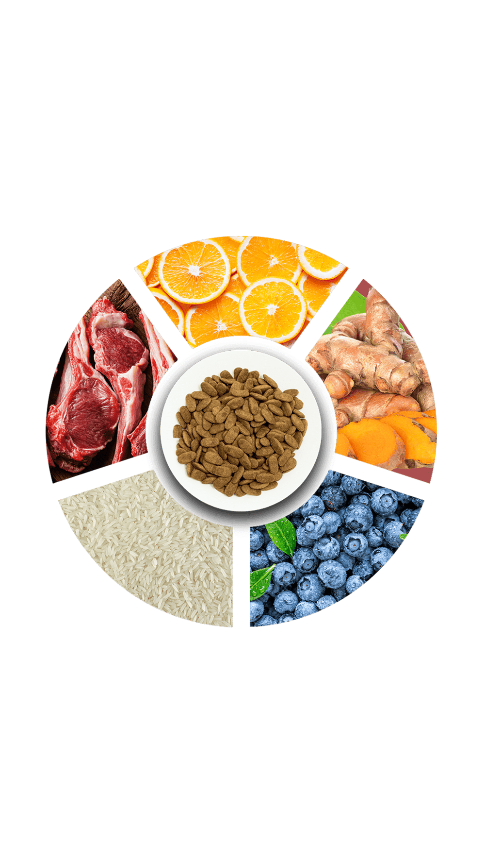 ProChoice Proderma Kuzu Etli Yetişkin Köpek Maması 18 kg