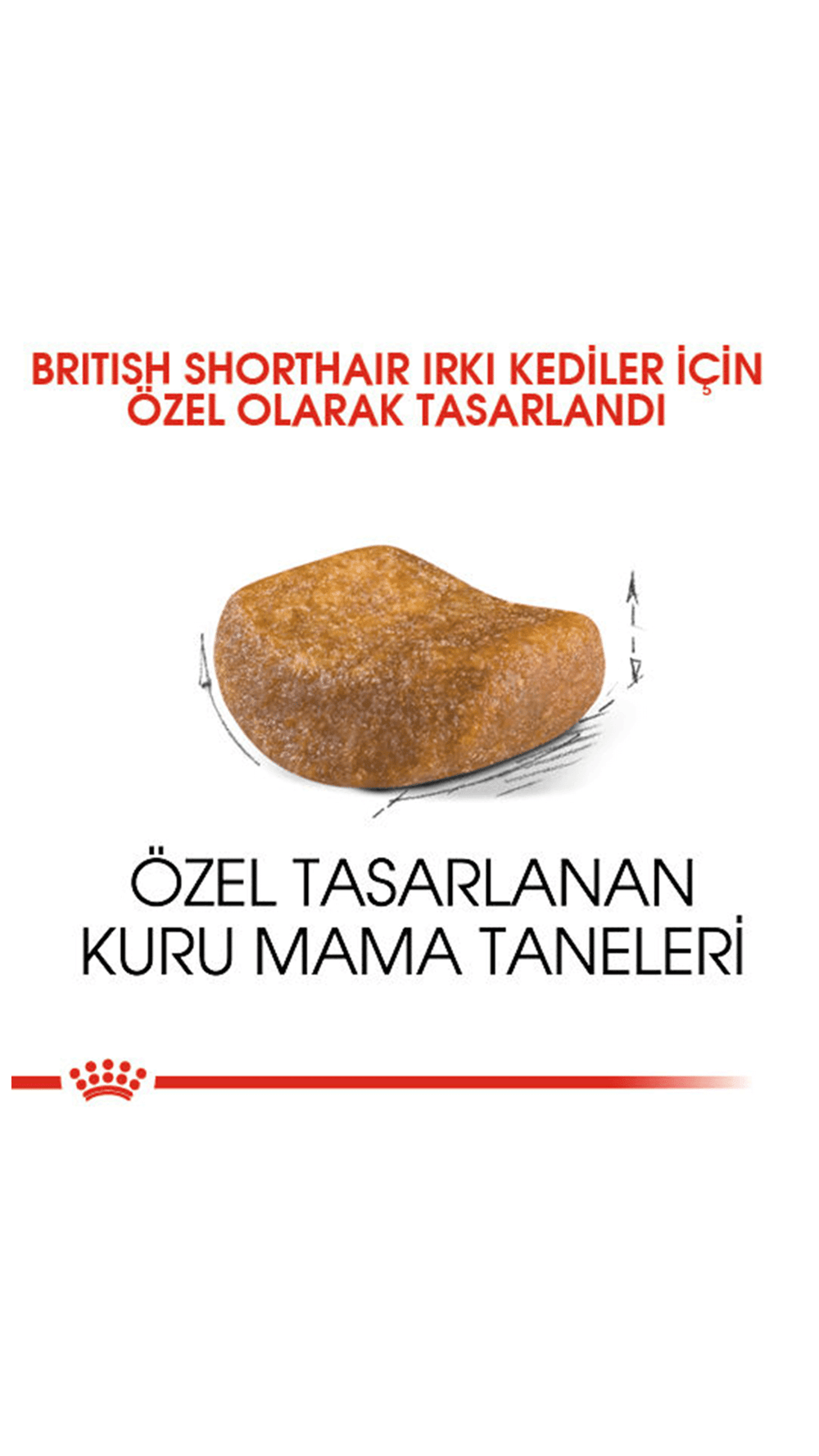Royal Canin British Shorthair Yetişkin Kedi Maması 4 kg