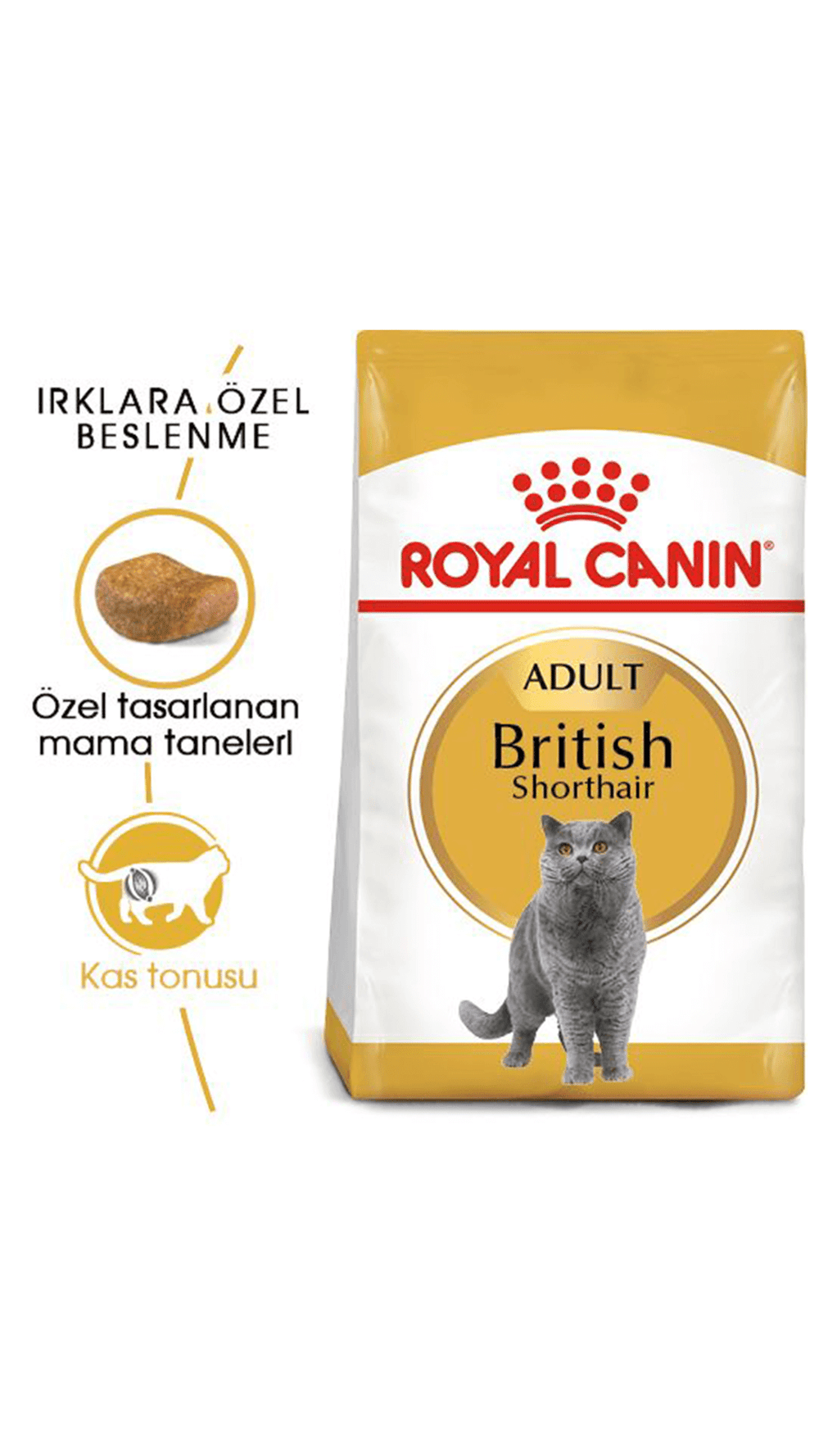 Royal Canin British Shorthair Yetişkin Kedi Maması 2 kg