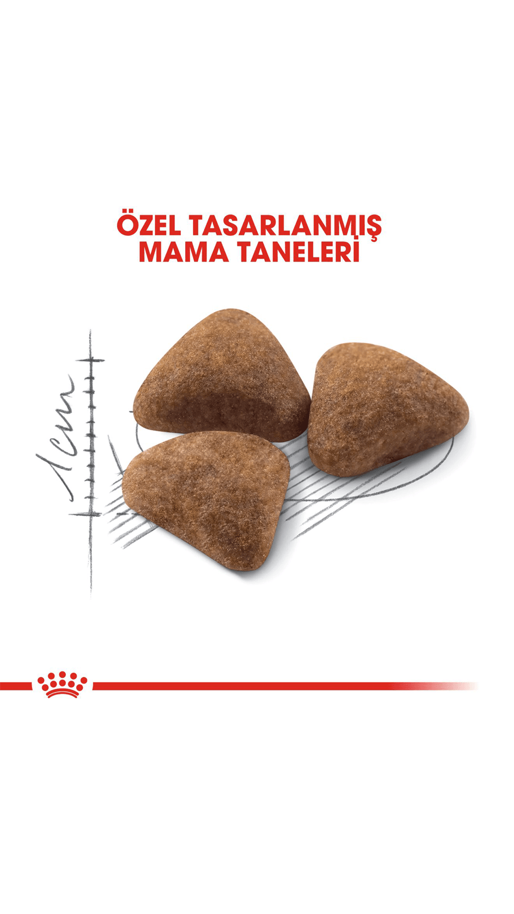 Royal Canin Indoor 27 Ev Kedileri için Yetişkin Kedi Maması 2 Kg