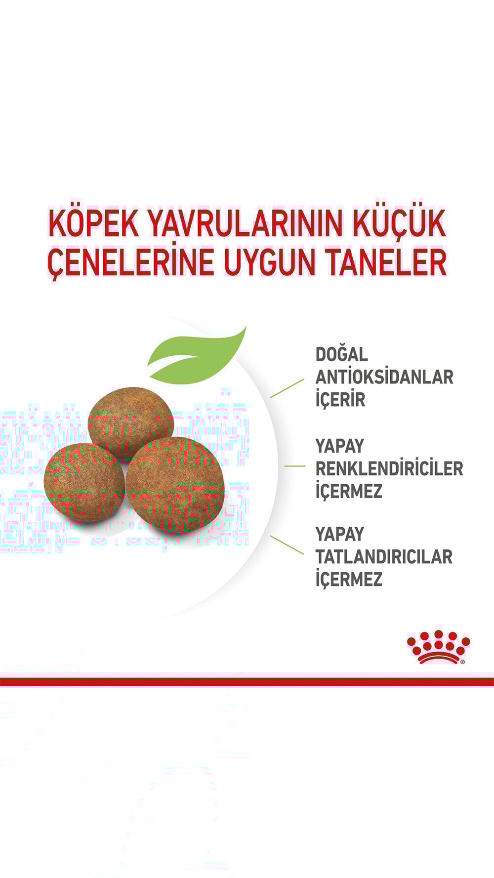 Royal Canin Maxi Puppy Büyük Irk Yavru Köpek Maması 15 kg
