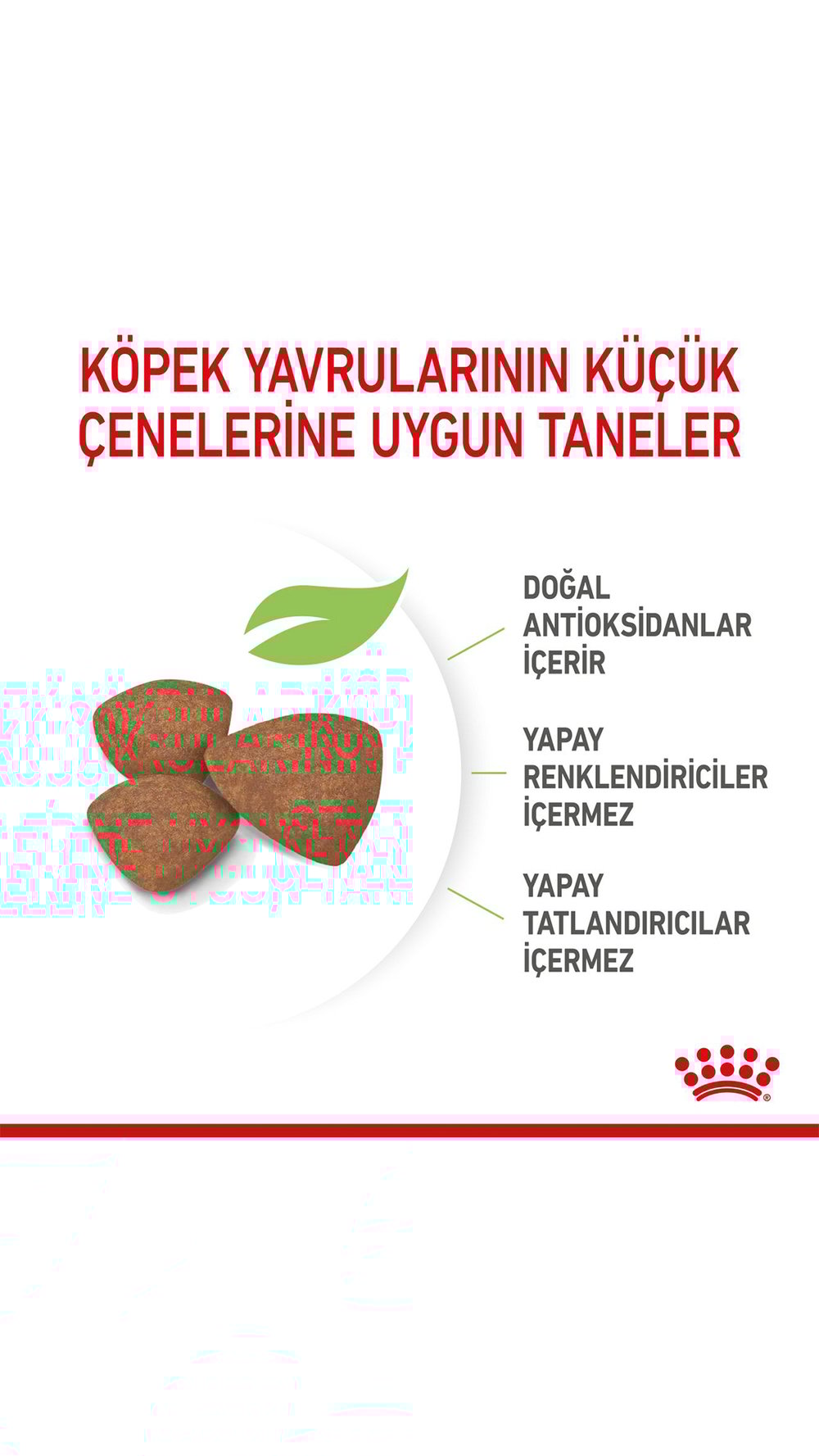 Royal Canin Mini Junior Küçük Irk Yavru Köpek Maması 4 kg