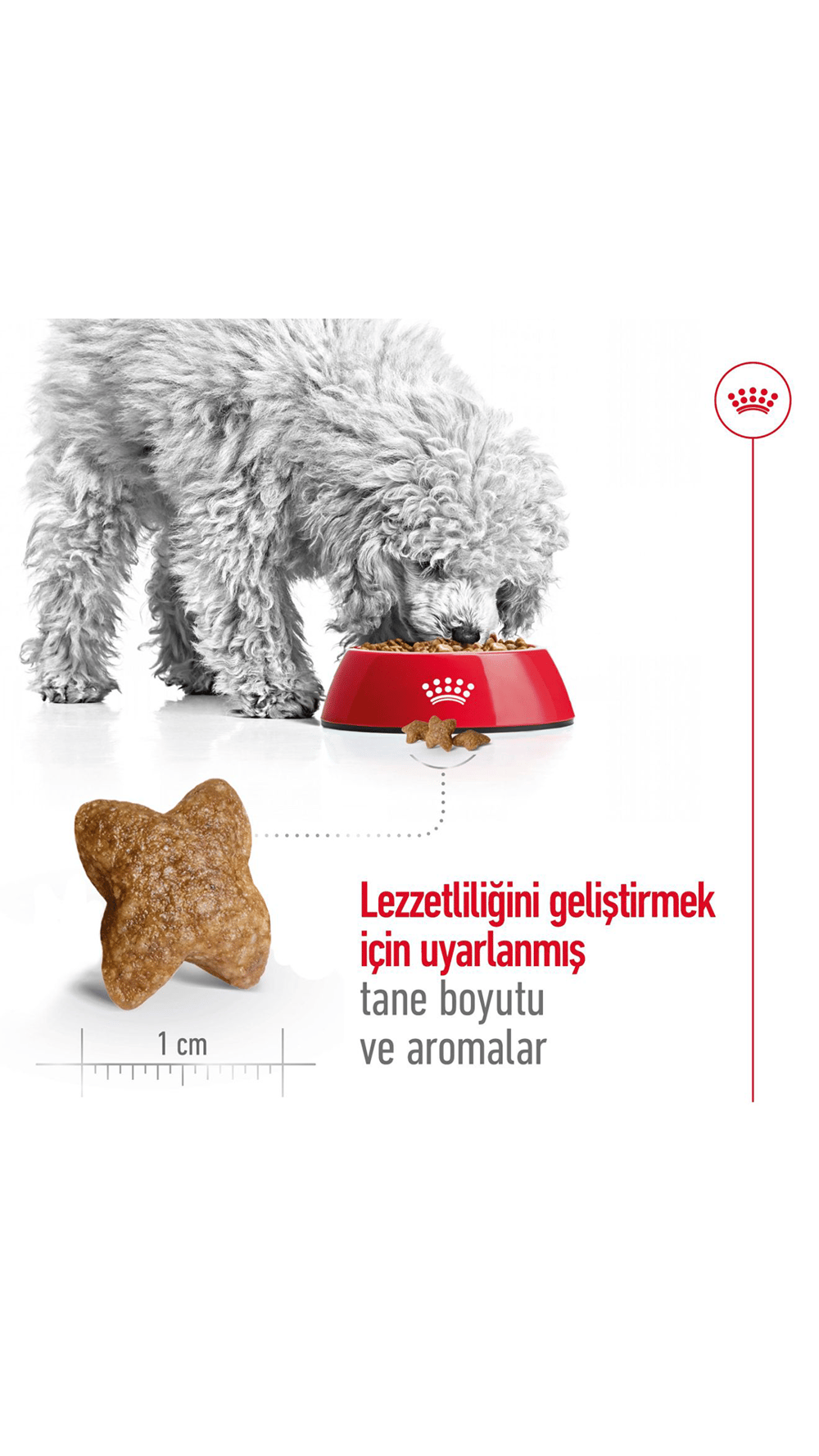Royal Canin Mini Küçük Irk Yetişkin Köpek Maması 8 Kg