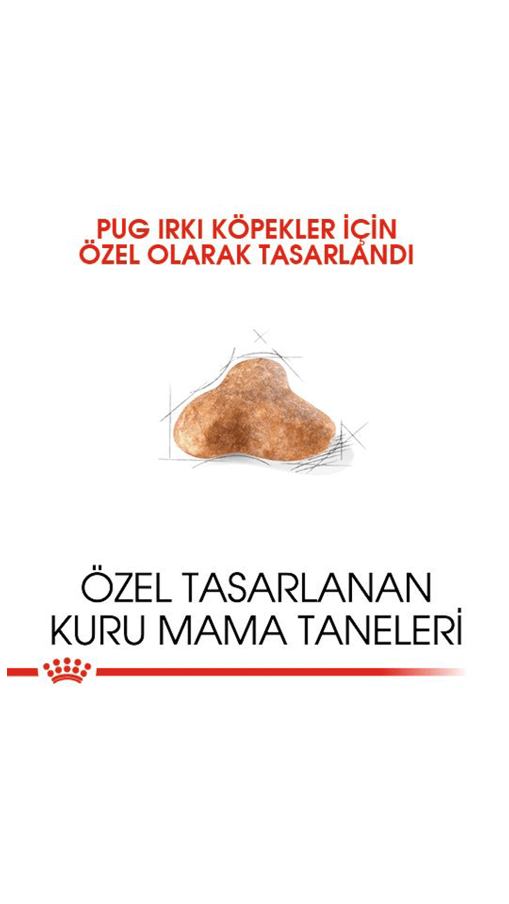 Royal Canin Pug Yetişkin Köpek Maması 1,5 kg