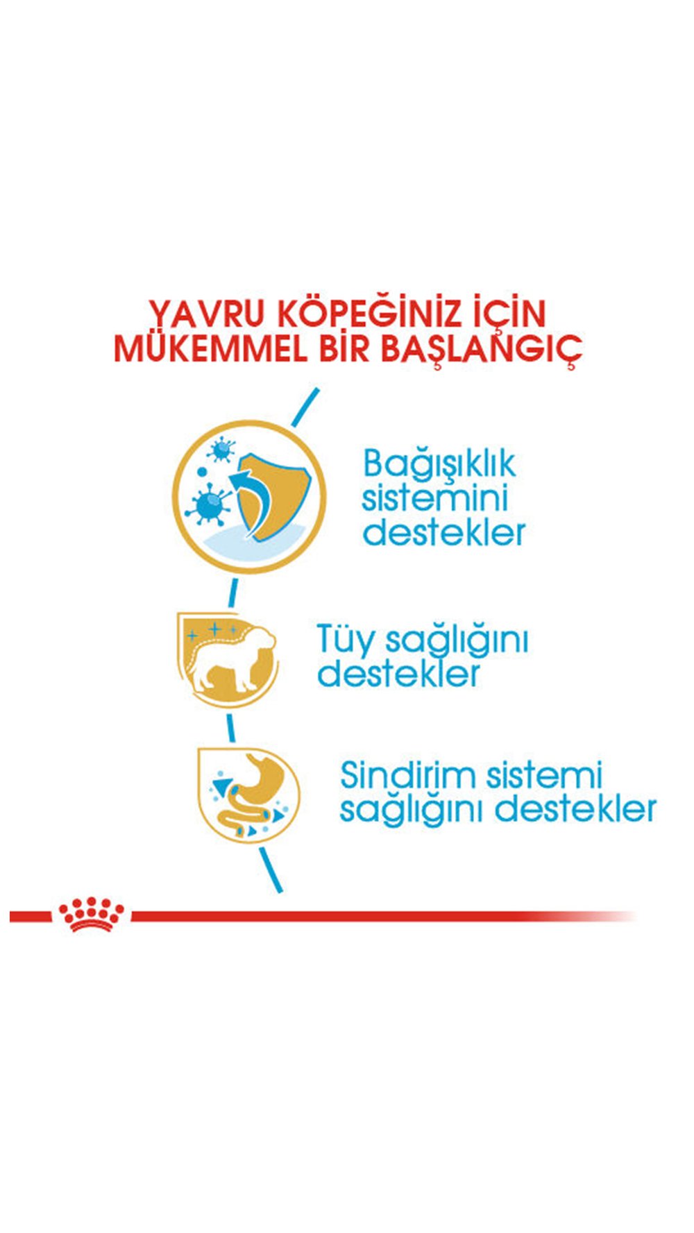 Royal Canin Puppy Poodle Caniche Yavru Köpek Maması 3kg