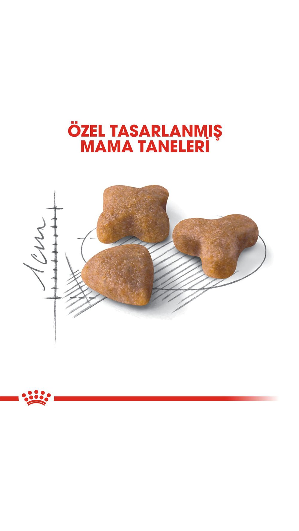 Royal Canin Sensible 33 Hassas Sindirim Sistemli Kediler için Yetişkin Kedi Maması 15 kg