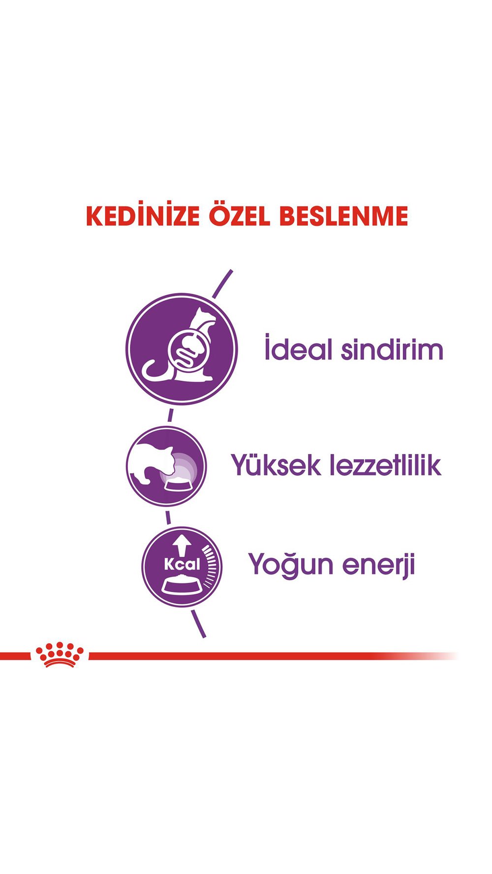 Royal Canin Sensible 33 Hassas Sindirim Sistemli Kediler için Yetişkin Kedi Maması 15 kg