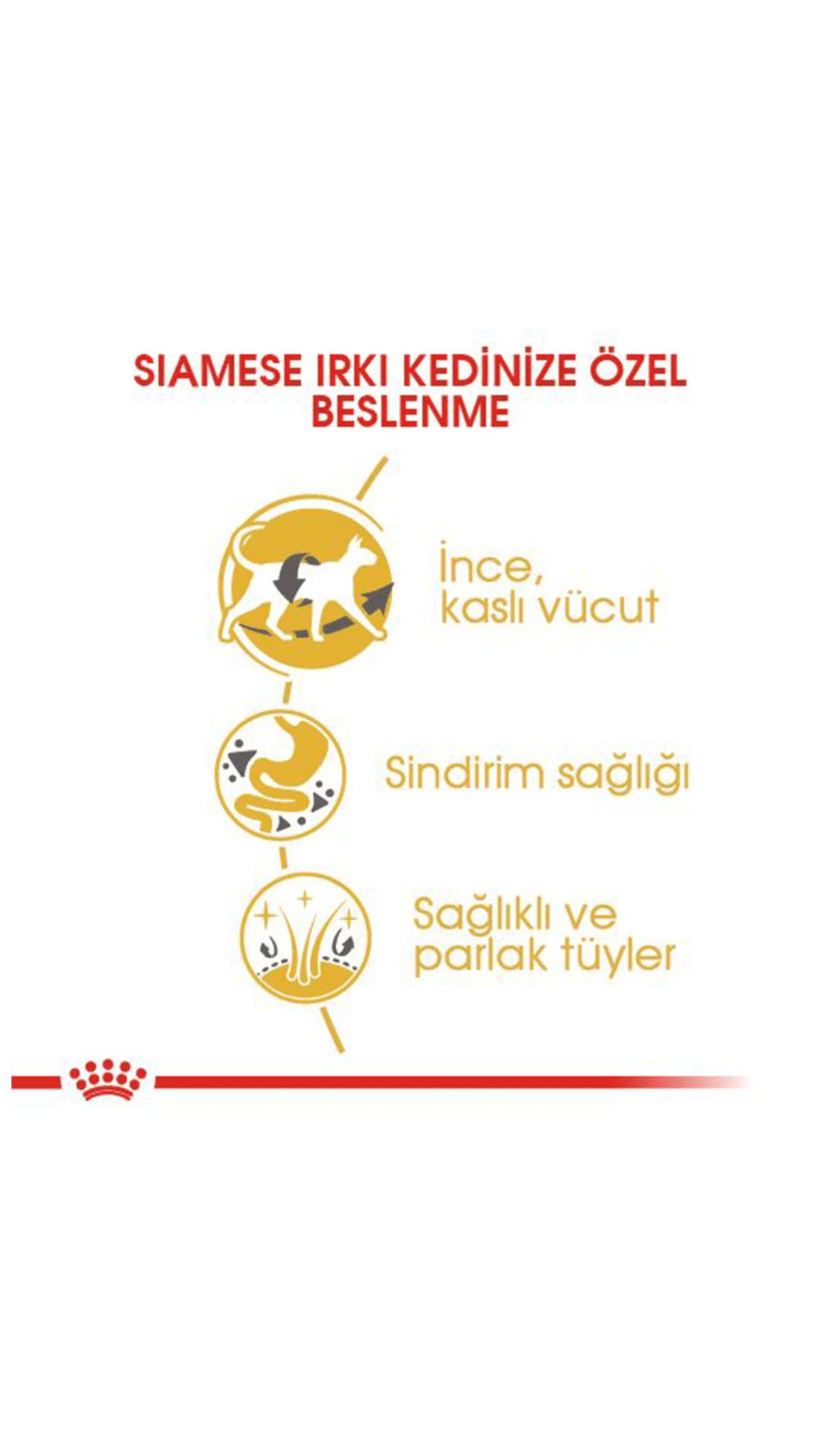 Royal Canin Siamese 38 Yetişkin Kedi Maması 2kg