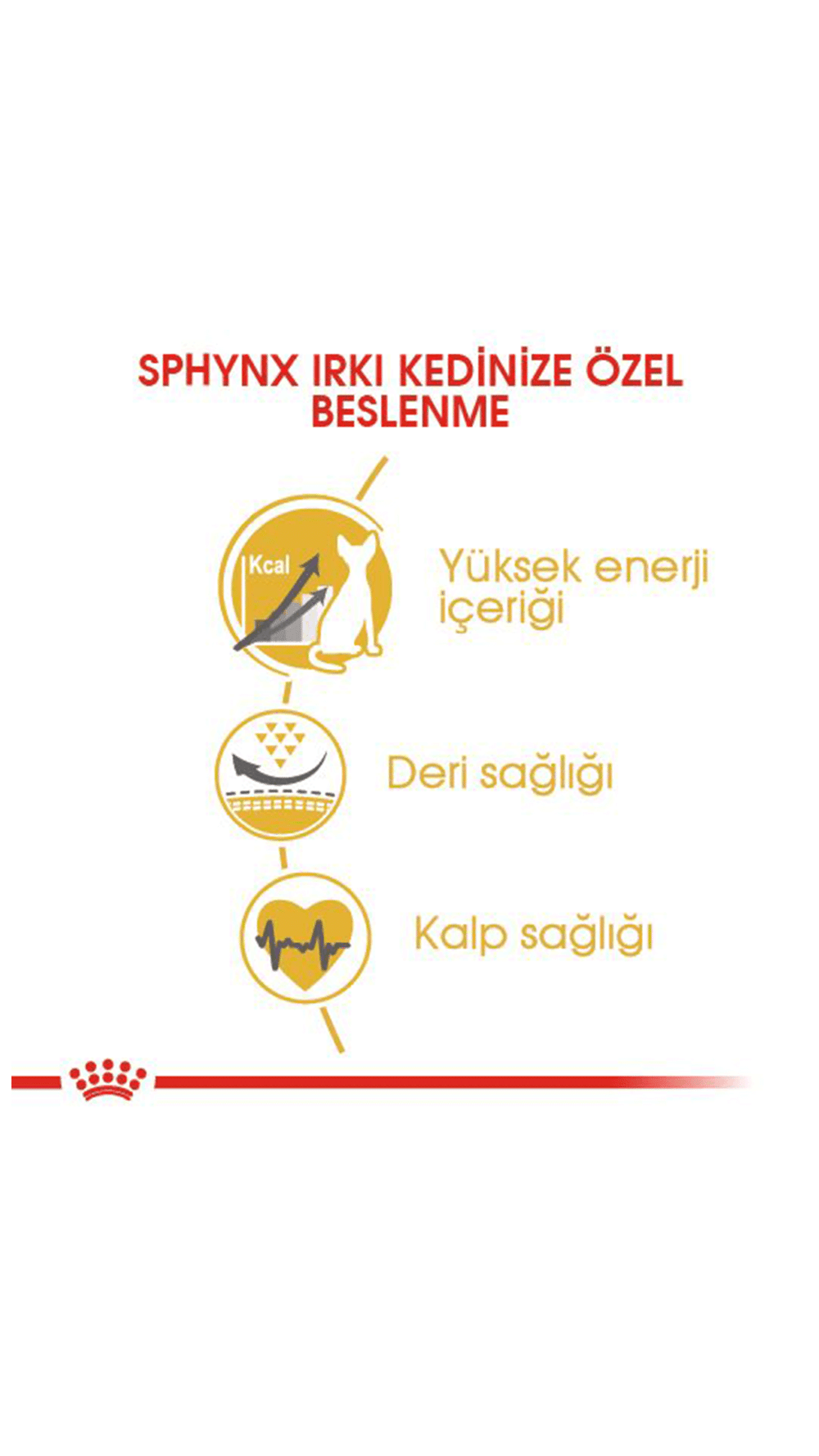 Royal Canin Sphynx Yetişkin Kedi Maması 2 Kg