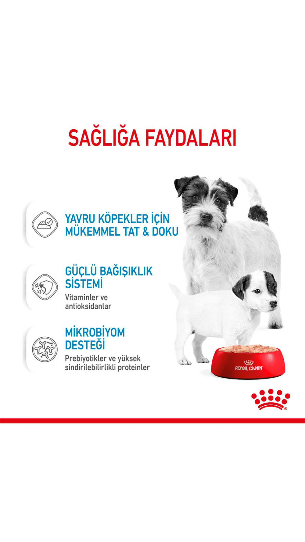 Royal Canin Starter Anne ve Yavru Köpek Konservesi 195 Gr