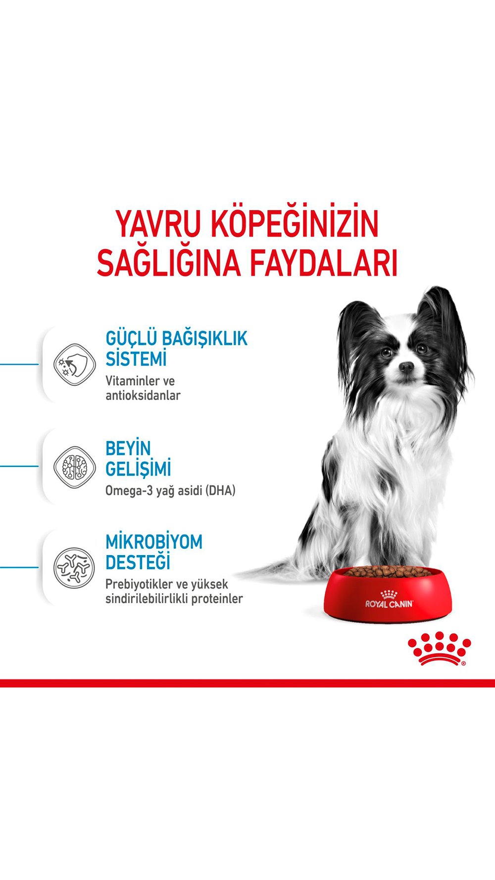 Royal Canin X-Small Küçük Irk Yavru Köpek Maması 1,5 Kg