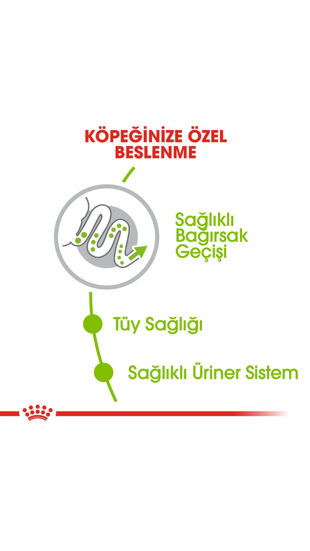 Royal Canin X-Small Küçük Irk Yetişkin Köpek Maması 1,5 Kg