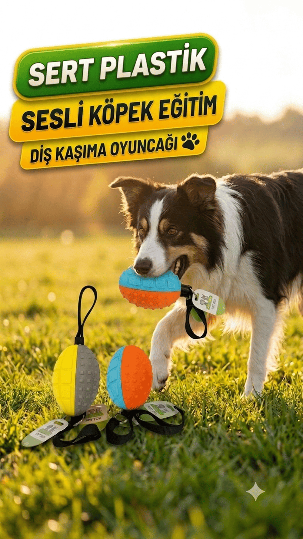 Sert Plastik Sesli Köpek Eğitim ve Diş Kaşıma Oyuncağı