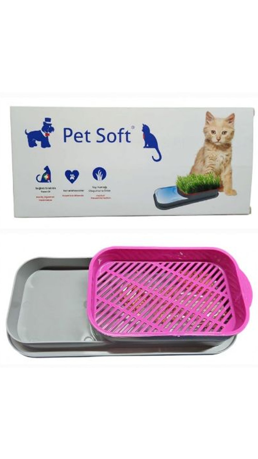 TOPRAKSIZ KEDİ ÇİMİ